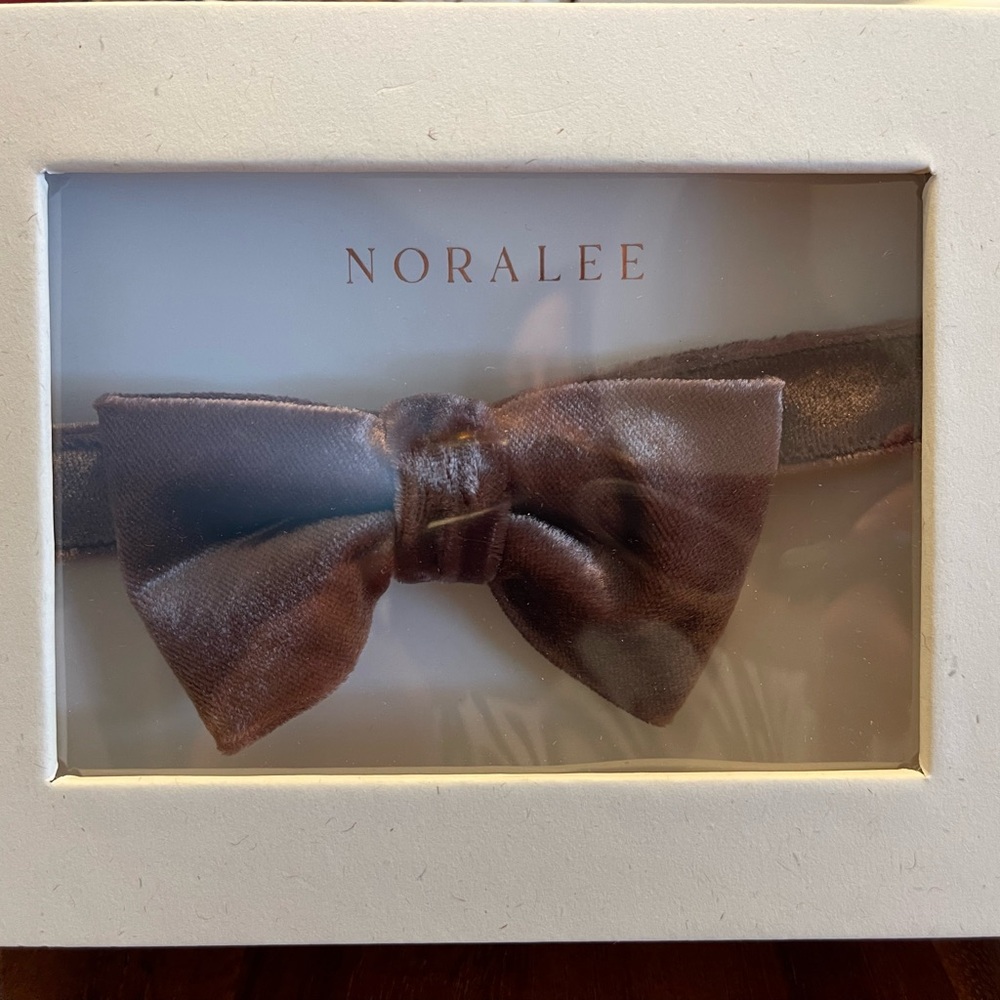 Noralee honey velvet Bow Tie NWT